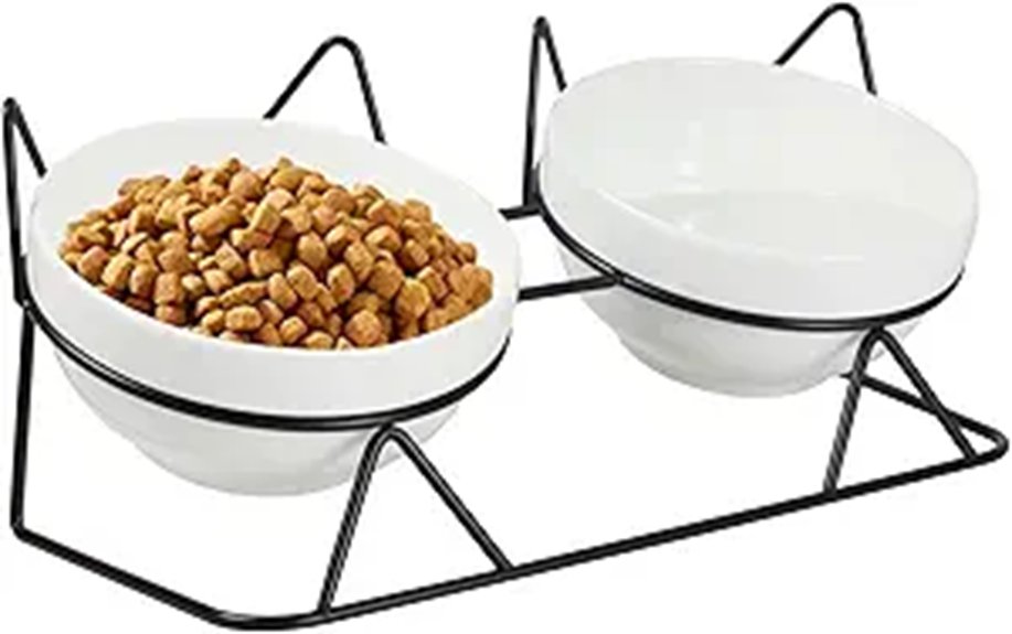 Elevated Tilted Ceramic Cat Bowls (Anti-Vomit)