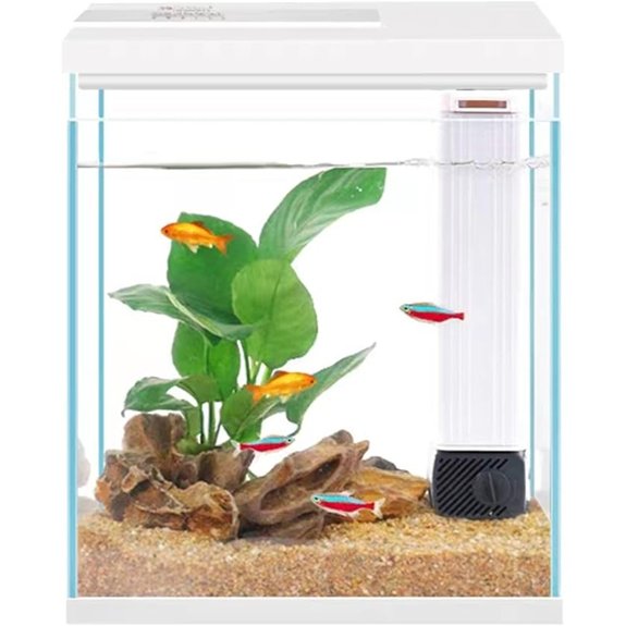 2-Gallon Betta Fish Tank Glass Aquarium Starter Kit