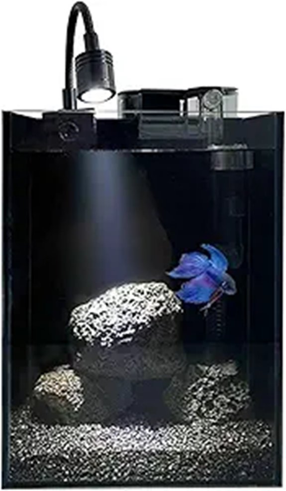 1.5-Gallon Glass Nano Aquarium Starter Kit