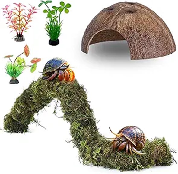 Hermit Crab Climbing Toys & Coconut Shell Hideouts