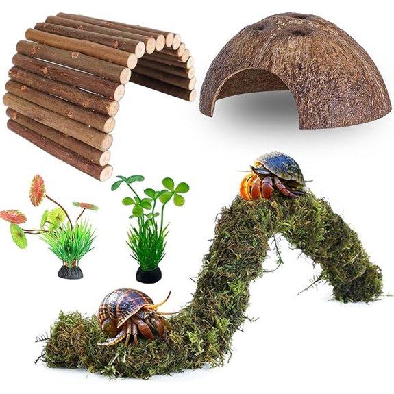 Hermit Crab Climbing Bridge & Coconut Shell Hideout