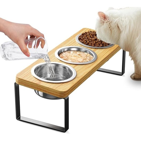 Elevated 3-Bowl Stainless Steel Cat & Puppy Feeding Station