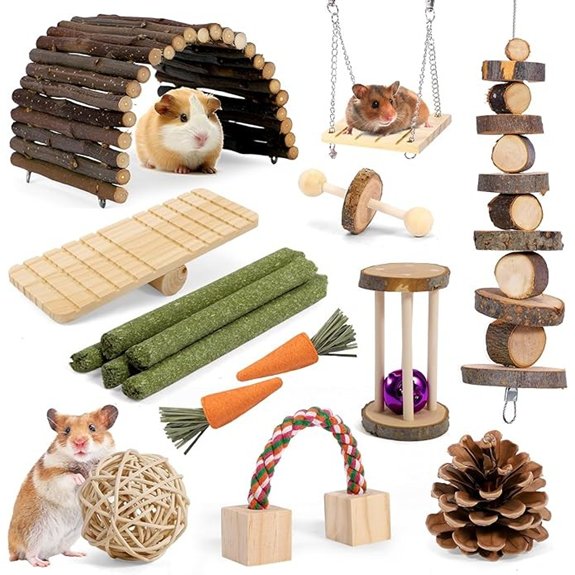Hamster & Small Pet Enrichment Toy Set