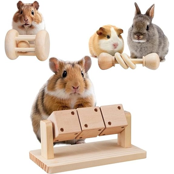 Wooden Chew Toys for Hamsters & Small Pets