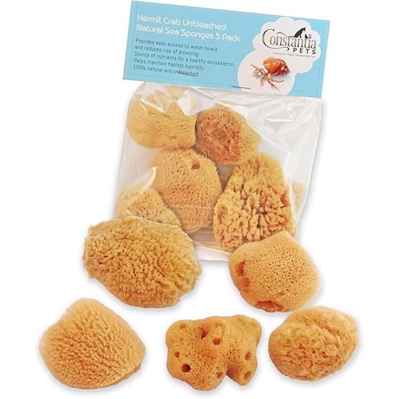 Hermit Crab Natural Sea Sponges (5-Pack)