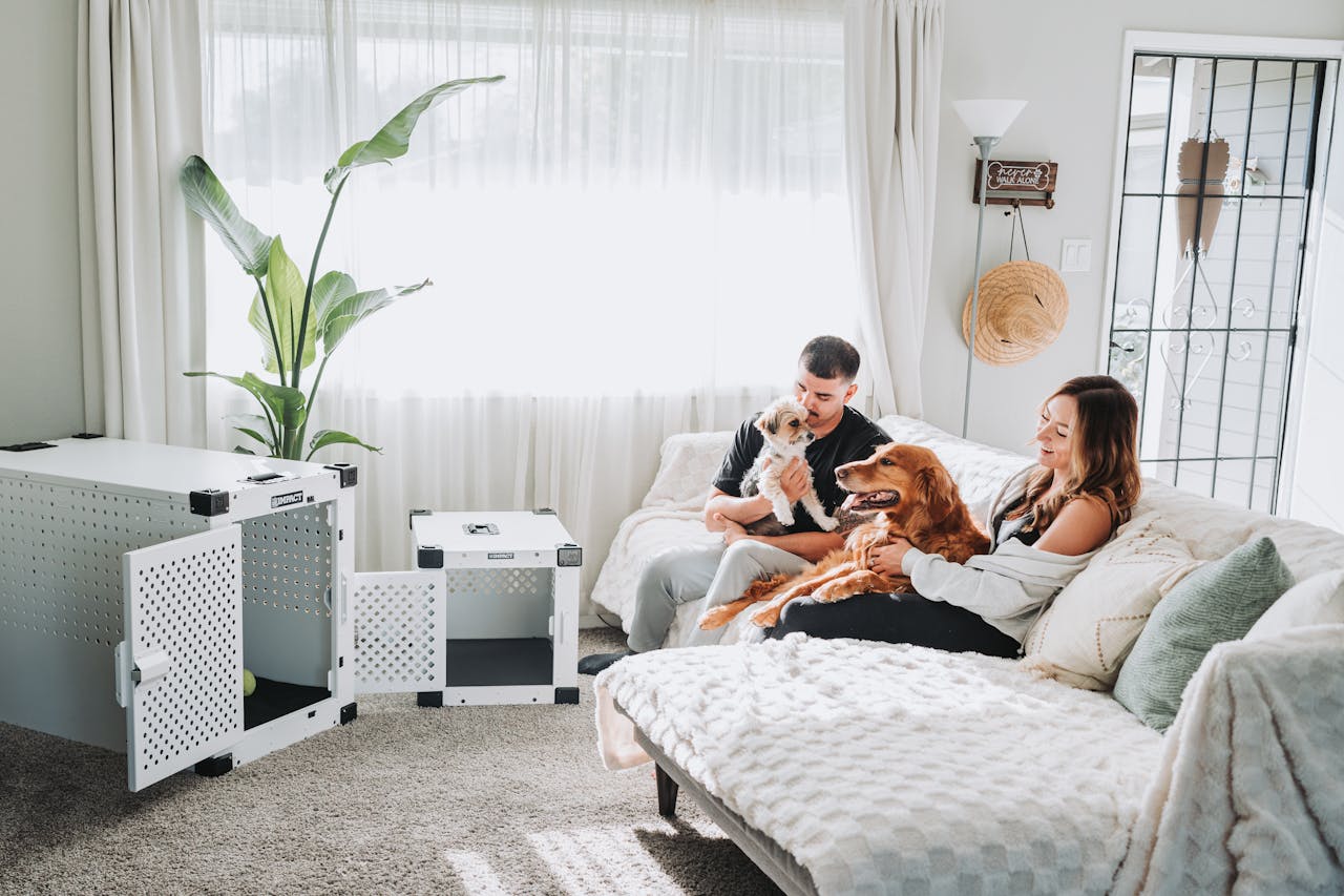 Couple relaxing with pets in a modern living room showcasing durable dog crates.