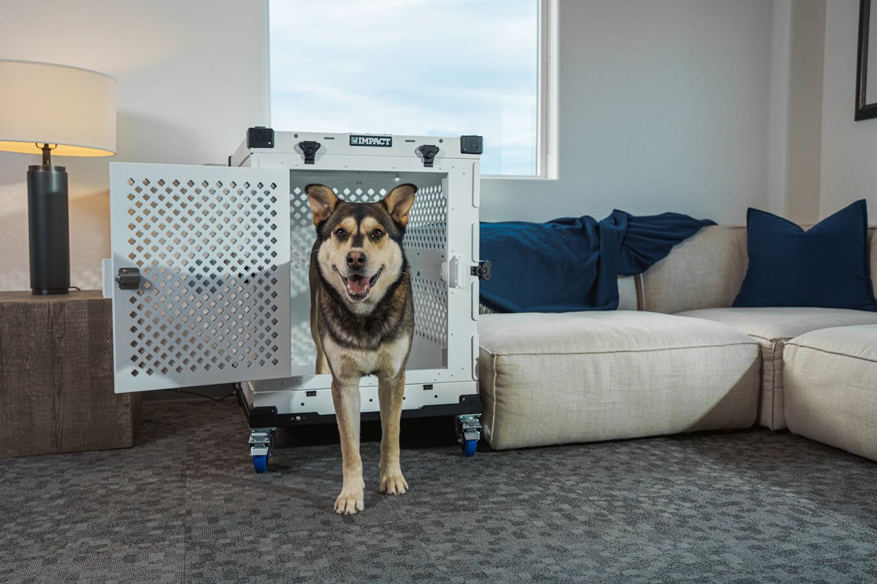 Smiling dog in premium pet crate, enhancing home comfort and pet safety.