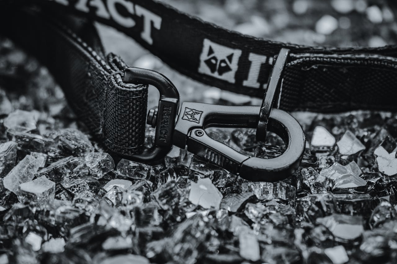 Close-up of a durable Impact dog leash resting on shattered glass for a rugged look.