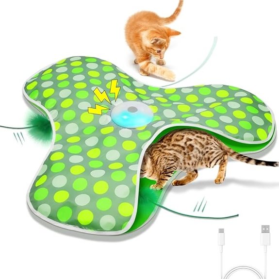 Interactive Rechargeable Moving Feather & Squeaky Mouse Cat Toy