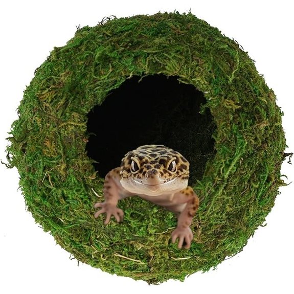 Mossy Caves Terrarium Hide for Reptiles and Frogs