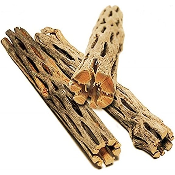 SunGrow Cholla Wood Basking Decor for Reptiles (3-Pack)