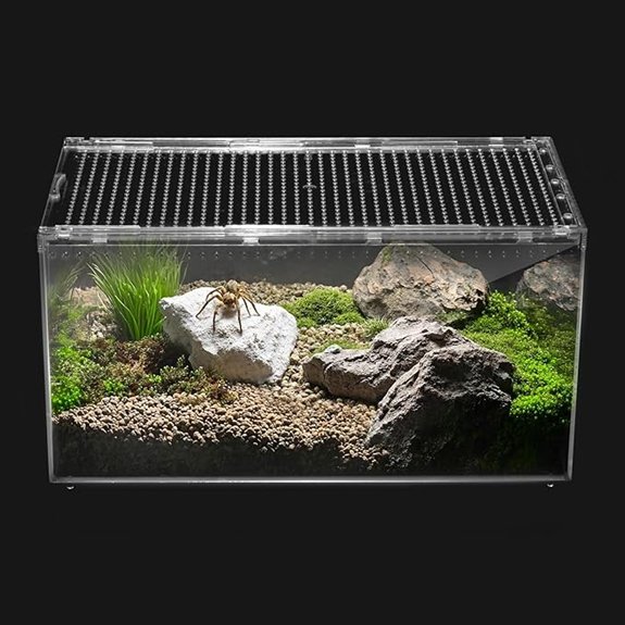 Reptile Terrarium & Small Reptile/Insect Vivarium L