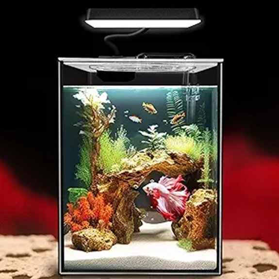 Glass Betta Aquarium Starter Kit 1.5 Gallon