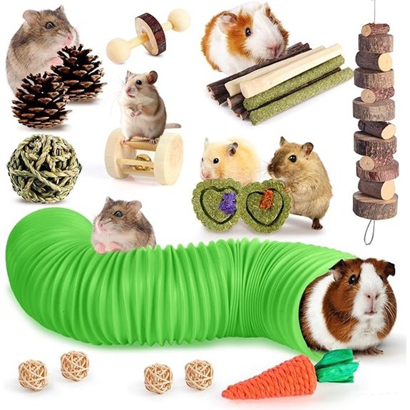 Kyouki Small Pet Chew & Tunnel Toy Set