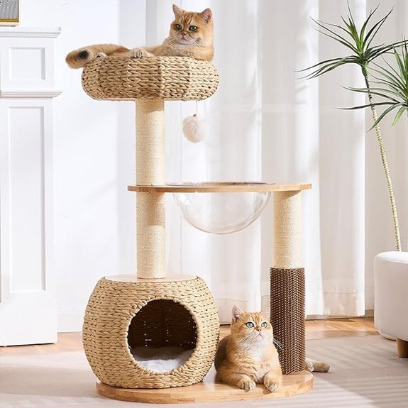 Modern Solid Wood Corner Cat Tree with Rattan Bed
