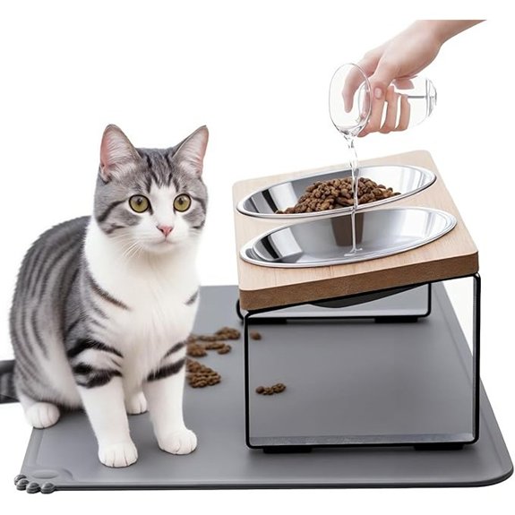 Elevated 15° Anti-Vomit Cat Bowls with Mat