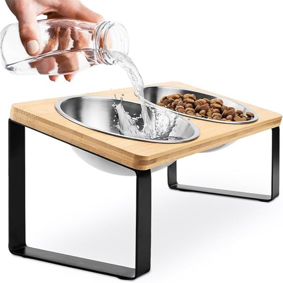 WinTruffles Raised Tilted Stainless Steel Cat Bowls (Set of 2)