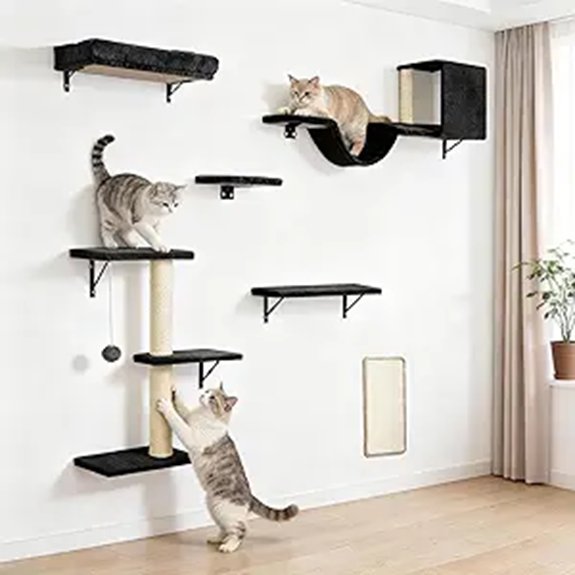6-in-1 Black Cat Wall Shelves & Climbing Set
