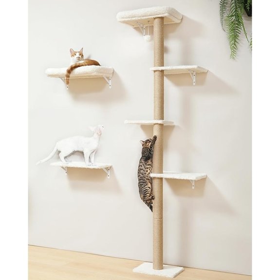 Fukumaru Wall-Mounted Cat Shelves with Cushion Perch