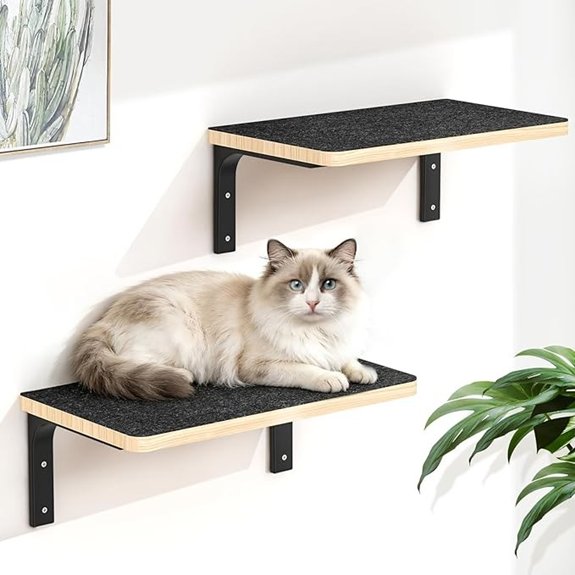 Cat Wall Shelves (2-Pack) Solid Wood Felt Board