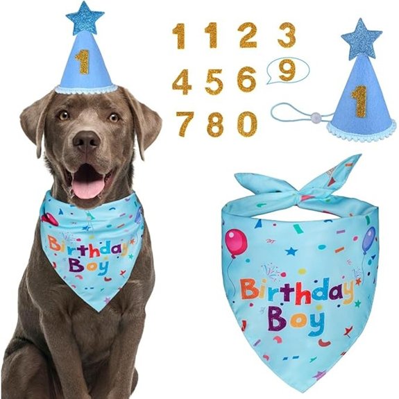 Dog Birthday Bandana & Birthday Hat Set (Blue)