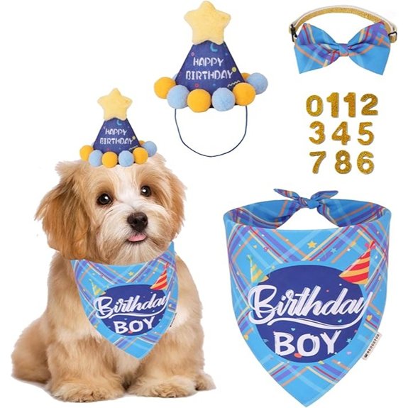 ADOGGYGO Blue Dog Birthday Party Set for Small Dogs