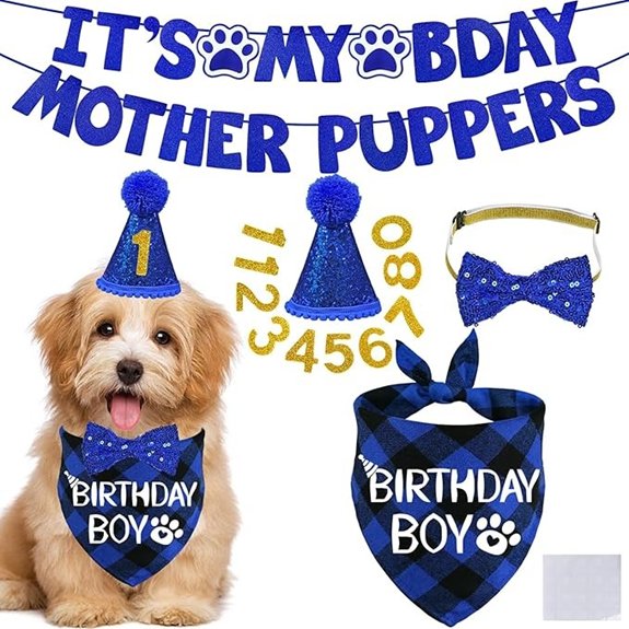 STMK Dog Birthday Hat Set with Banner (Blue)