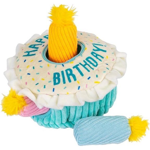 Outward Hound Hide-A-Birthday-Cake Interactive Dog Toy
