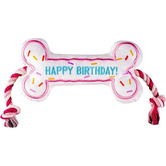 Birthday Bone Interactive Tug Rope Dog Toy (Pink)