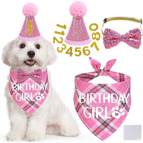 STMK Pink Dog Birthday Outfit with Hat and Bandana
