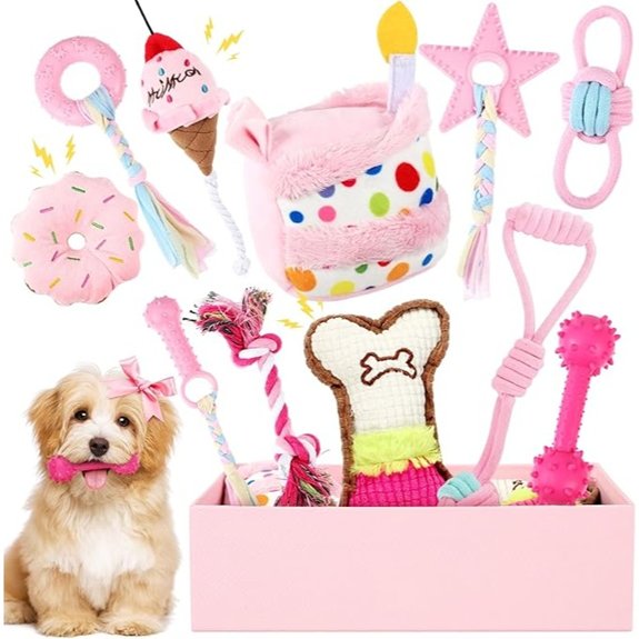 Dog Birthday Toy Gift Set (11-Piece Pink)