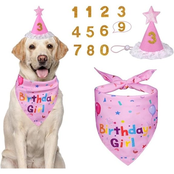 Dog Birthday Hat with Number for Pets (Pink)