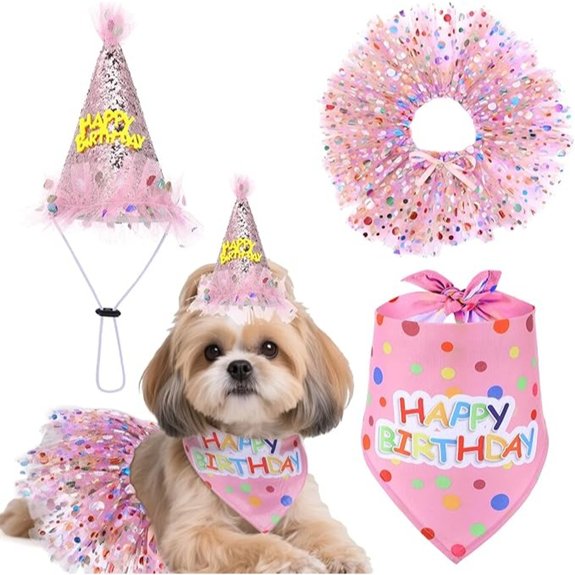 Dog Birthday Costume Set: Bandana Hat & Tutu (Pink)