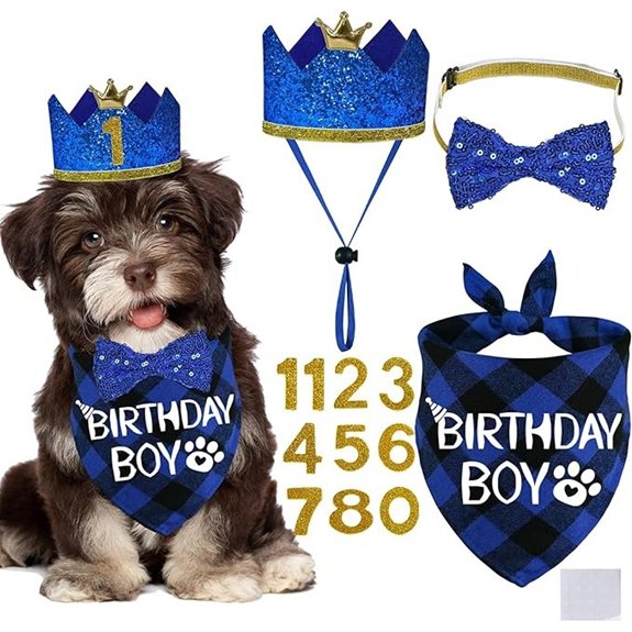 STMK Dog Birthday Hat Set for Small Dogs