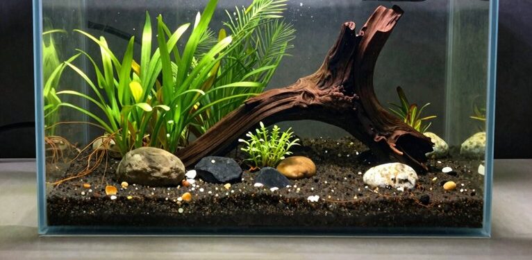 fill tank with dechlorinated water
