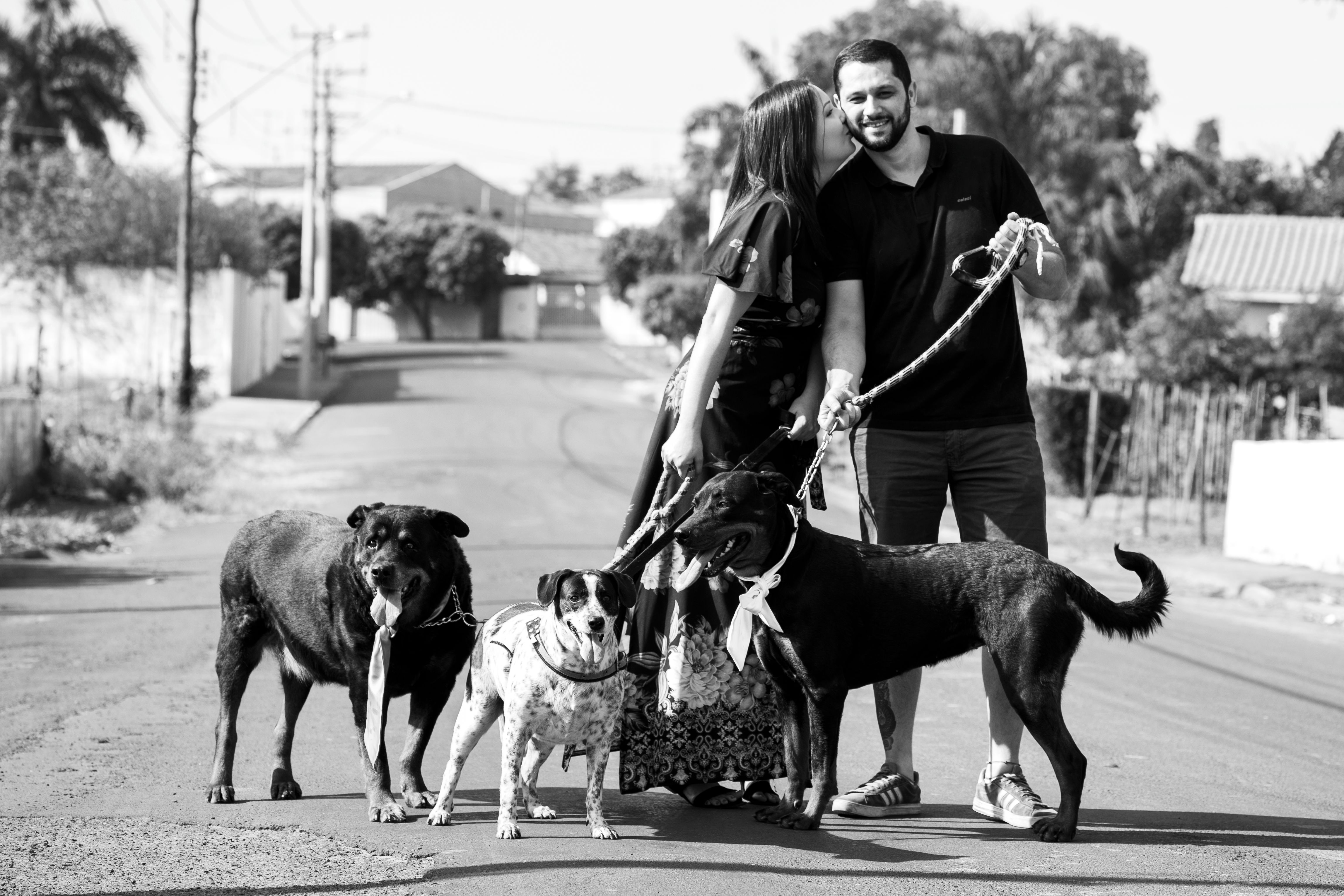 A hispanic couple kissing while walking their dogs on a suburban street.