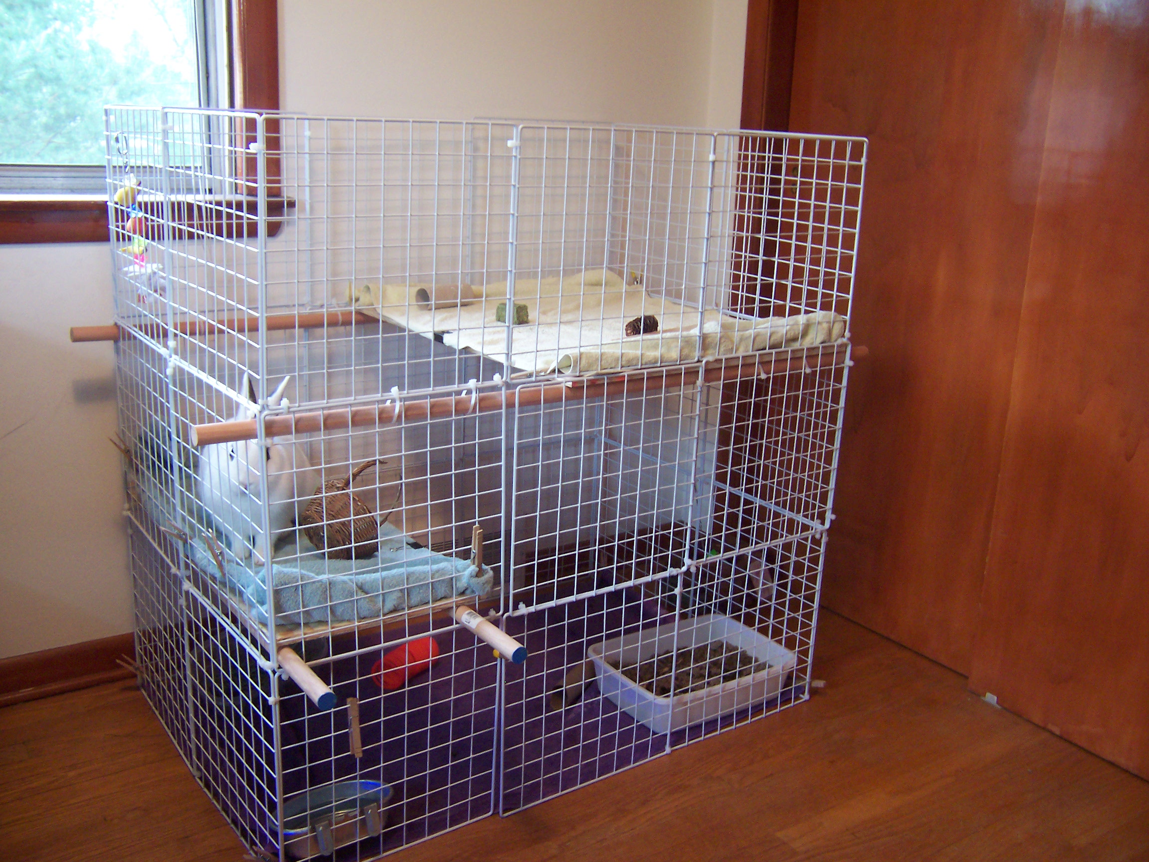 Multi-level rabbit condo showing a raised resting structure